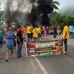 Aurelino Leal: Cacauicultores interditam trecho da BR-101 em protesto contra queda de preços