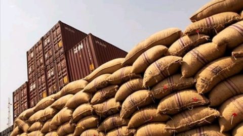 Ministério da Agricultura suspende temporariamente importação de cacau da Costa do Marfim