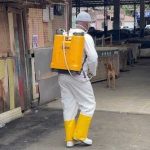 Prefeitura de Gandu realiza dedetização da Feira Livre e Mercado Municipal