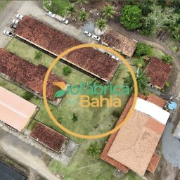 Biofábrica de Cacau e Agrichem unem expertise para Revolucionar a Produção de Mudas de Cacau no Sul da Bahia