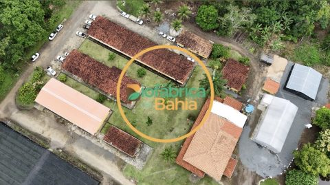 Biofábrica de Cacau e Agrichem unem expertise para Revolucionar a Produção de Mudas de Cacau no Sul da Bahia