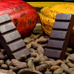 Câmara aprova projeto que define percentual mínimo de cacau em chocolates; proposta segue para o Senado