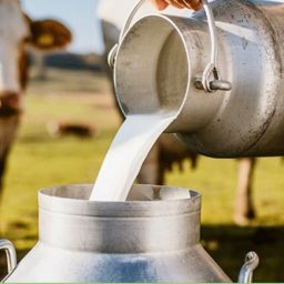 Ministério anuncia R$ 909 milhões para fortalecer produção de leite da agricultura familiar