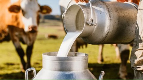 Ministério anuncia R$ 909 milhões para fortalecer produção de leite da agricultura familiar