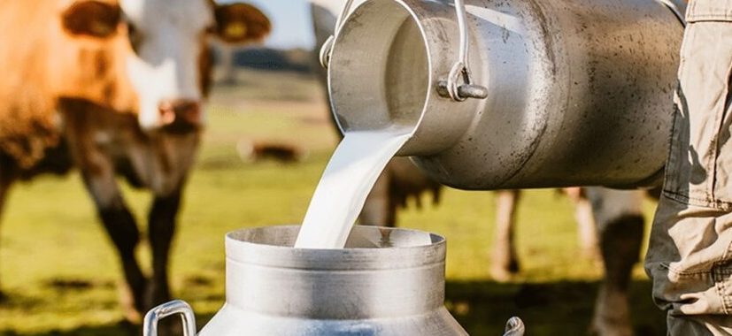 Ministério anuncia R$ 909 milhões para fortalecer produção de leite da agricultura familiar