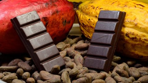 Lei que estabelece percentual mínimo de cacau vai beneficiar produtores baianos