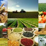 Bahia em Alta: Setor agro avança 12,4% e lidera crescimento econômico no Estado