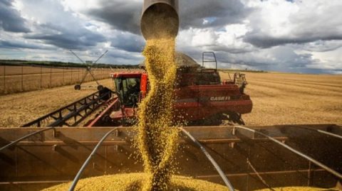 Bahia deve bater novo recorde na produção de grãos em 2026, aponta IBGE
