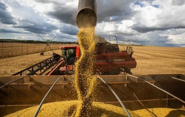 Bahia deve bater novo recorde na produção de grãos em 2026, aponta IBGE