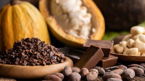 Com alta de 41%, exportações de chocolate confirmam força da Bahia no mercado externo