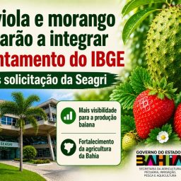 Graviola e morango passarão a integrar levantamento do IBGE após solicitação da Seagri