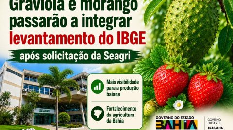 Graviola e morango passarão a integrar levantamento do IBGE após solicitação da Seagri