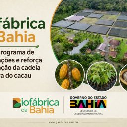 Biofábrica da Bahia amplia programa de capacitações e reforça qualificação da cadeia produtiva do cacau