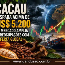 Cacau dispara acima de US$ 5.200 e mercado amplia preocupações com oferta global