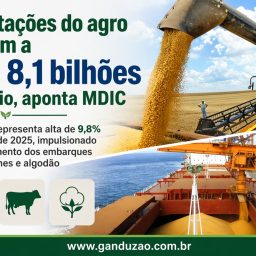 Exportações do agro chegam a US$ 8,1 bilhões em maio, aponta MDIC