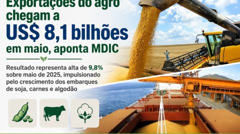 Exportações do agro chegam a US$ 8,1 bilhões em maio, aponta MDIC