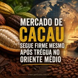 Mercado de cacau segue firme mesmo após trégua no Oriente Médio