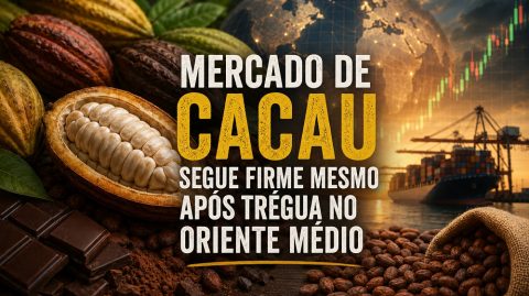 Mercado de cacau segue firme mesmo após trégua no Oriente Médio