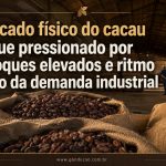 Mercado físico do cacau segue pressionado por estoques elevados e ritmo lento da demanda industrial