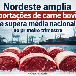 Nordeste amplia exportações de carne bovina e supera média nacional no primeiro trimestre