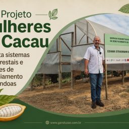 Projeto Mulheres do Cacau implanta sistemas agroflorestais e unidades de beneficiamento de amêndoas