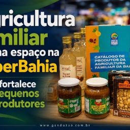 Agricultura familiar ganha espaço na SuperBahia e fortalece pequenos produtores