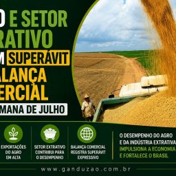 Agro e setor extrativo puxam superávit da balança comercial na 3ª semana de julho
