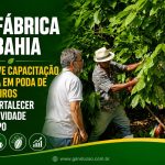 Biofábrica da Bahia promove capacitação técnica em poda de cacaueiros para fortalecer produtividade no campo