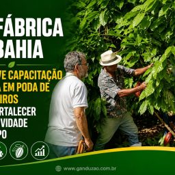 Biofábrica da Bahia promove capacitação técnica em poda de cacaueiros para fortalecer produtividade no campo