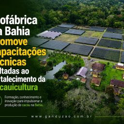 Biofábrica da Bahia promove capacitações técnicas voltadas ao fortalecimento da cacauicultura