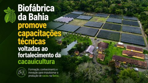 Biofábrica da Bahia promove capacitações técnicas voltadas ao fortalecimento da cacauicultura