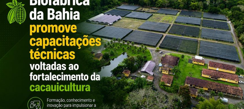 Biofábrica da Bahia promove capacitações técnicas voltadas ao fortalecimento da cacauicultura