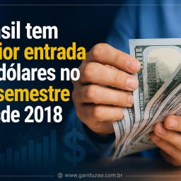Brasil tem maior entrada de dólares no 1º semestre desde 2018