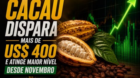 Cacau dispara mais de US$ 400 e atinge maior nível desde novembro