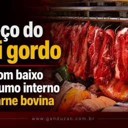 Preço do boi gordo cai com baixo consumo interno de carne bovina