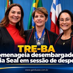 TRE-BA homenageia desembargadora Maízia Seal em sessão de despedida