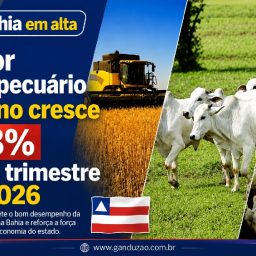Setor agropecuário baiano cresce 5,8% no 1º trimestre de 2026