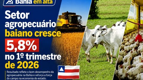 Setor agropecuário baiano cresce 5,8% no 1º trimestre de 2026