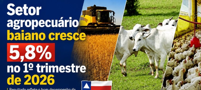 Setor agropecuário baiano cresce 5,8% no 1º trimestre de 2026