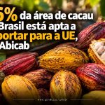 96% da área de cacau no Brasil está apta a exportar para a UE, diz Abicab