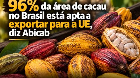 96% da área de cacau no Brasil está apta a exportar para a UE, diz Abicab
