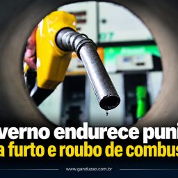 Governo endurece punição para furto e roubo de combustível
