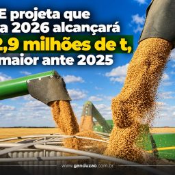 IBGE projeta que safra 2026 alcançará 352,9 milhões de t, 2% maior ante 2025
