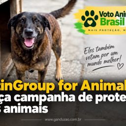 LatinGroup for Animals lança campanha de proteção dos animais