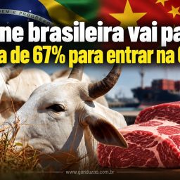 Carne brasileira vai pagar tarifa de 67% para entrar na China