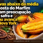 Chuvas abaixo da média na Costa do Marfim elevam preocupação com safra e cacau avança em Nova York