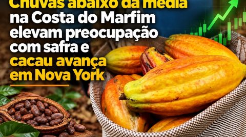 Chuvas abaixo da média na Costa do Marfim elevam preocupação com safra e cacau avança em Nova York