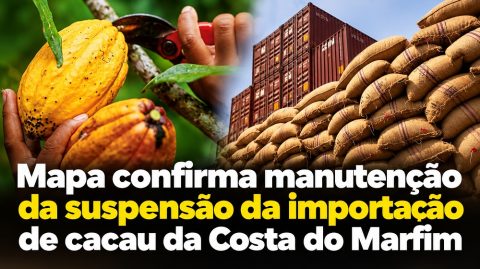 Mapa confirma manutenção da suspensão da importação de cacau da Costa do Marfim