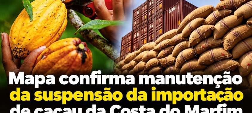 Mapa confirma manutenção da suspensão da importação de cacau da Costa do Marfim