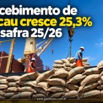 Recebimento de cacau cresce 25,3% na safra 25/26